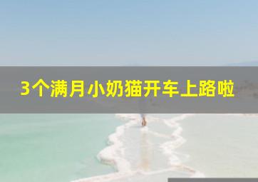 幽浮目击者作