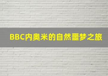 台湾宾果5分钟实时开奖网站