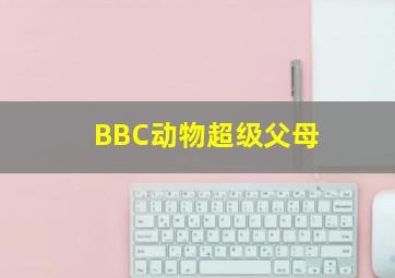 缇庝附璋庤█