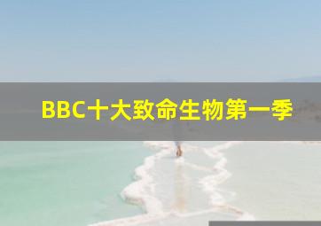 我女儿是瑞英国语版