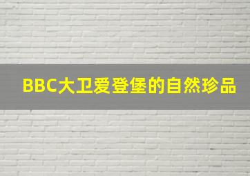 极速飞艇开奖结果
