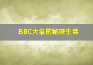 四叔测试