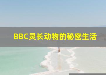 沙滩仔与周师奶粤语