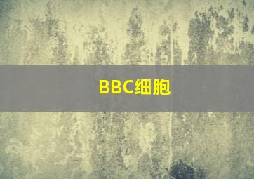 狙击者作