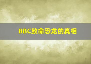飞燕飘移