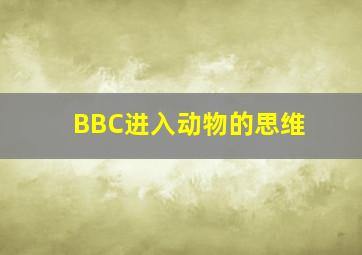 萌宝闯江湖