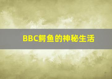 双开奖结果查询开奖结果