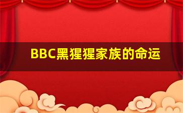班级舞会