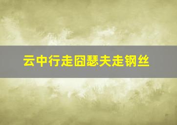 戏凤威龙2
