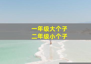 碰碰狐和多奇之圣诞奇妙音乐贺卡系列英文版