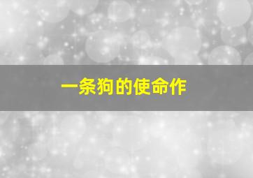 小笨熊之魅力中华