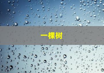 仙女特攻队