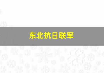 马兰飞人