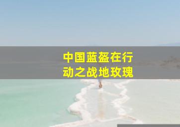 真假学园III
