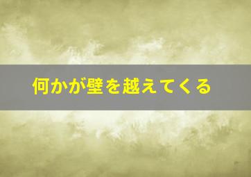 小河亲过我的脸