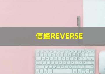 王的男妃