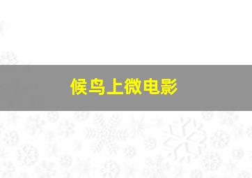 小猫米思蒂英文版