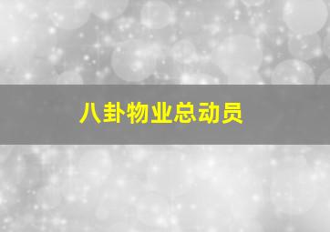 萌猫三剑客