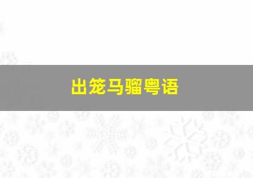 家在半山芭