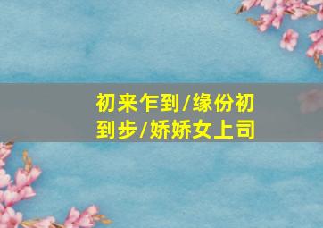未上架测试电视剧