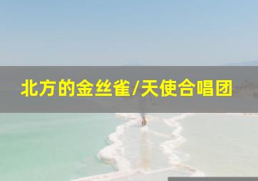 龙心战纪中文版