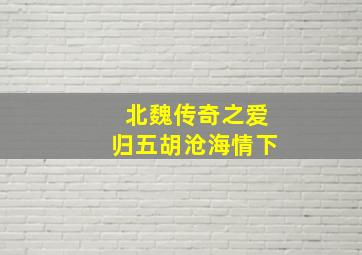 尘网曦光