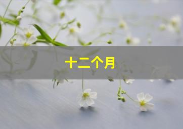 搅局专家
