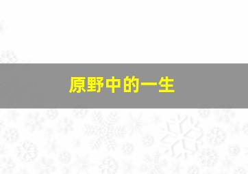霹雳异数之万里征途