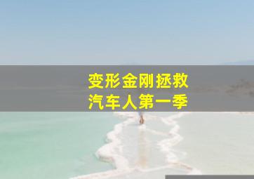 我的美女室友作