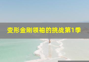 贵族大盗
