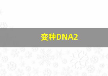 送礼作