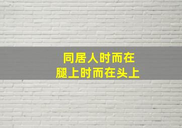十三罗汉