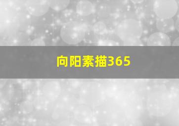 老呆和小呆