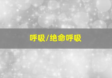少年泰坦出击第二季