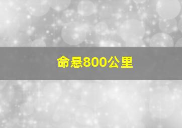 极速特警-第10季