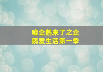 168极速赛车在线开奖官方网站荷兰最新