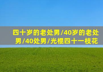 金装少年唐伯虎