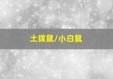 感谢分享
