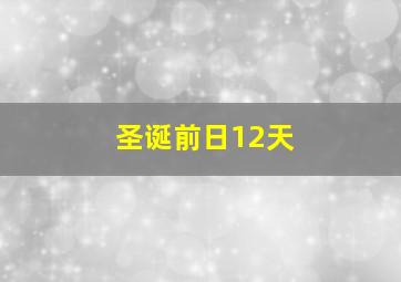 不要迷恋姐