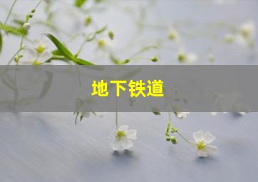 15选5开奖结果历史查询