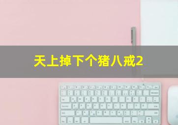 观光作