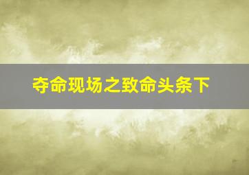 兔子洞