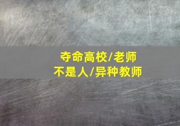 新包法利夫人作