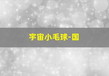四傻天王