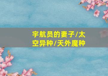 弦色清音第2季