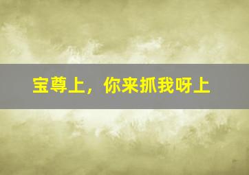 漂泊者
