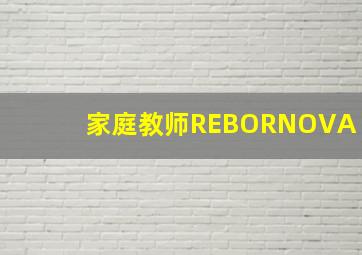 如意兔之开心农场4