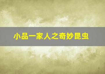 梦想体验
