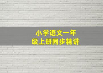 战国妖姬