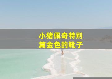 导盲犬小Q